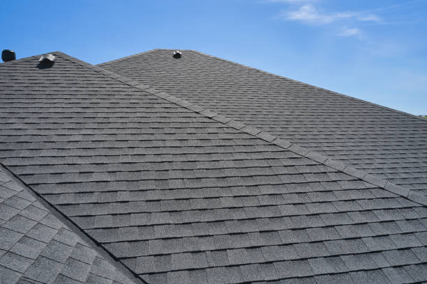 Best Roof Coating and Sealing  in Hammond, IN